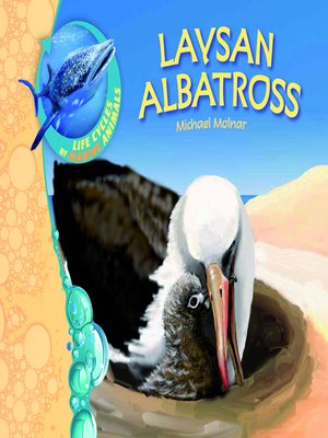 cover image of Laysan Albatross